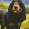 Black And Tan Coonhound Diamond Paintings