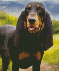 Black And Tan Coonhound Diamond Paintings