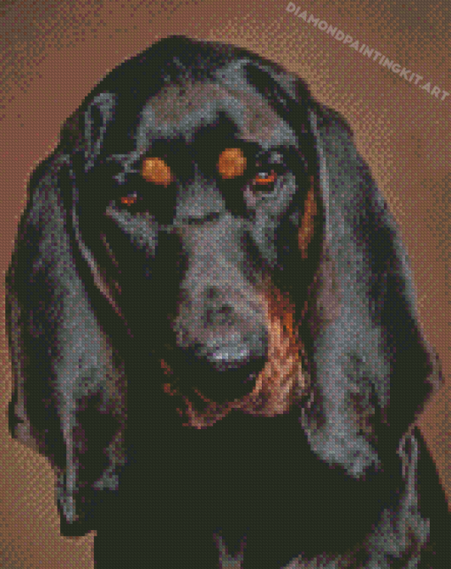 Black And Tan Coonhound Dog Head Diamond Paintings