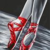 Black And White Red Ballet Shoes Diamond Paintings