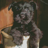 Black Cairn Terrier Puppy Dog Diamond Paintings