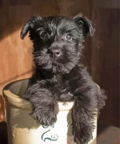 Black Cairn Terrier Puppy Dog Diamond Paintings