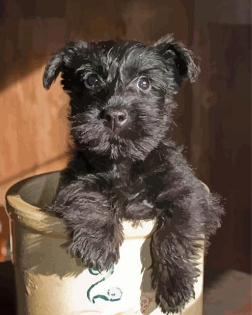 Black Cairn Terrier Puppy Dog Diamond Paintings