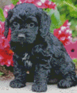 Black Cockapoo And Flowers Diamond Paintings