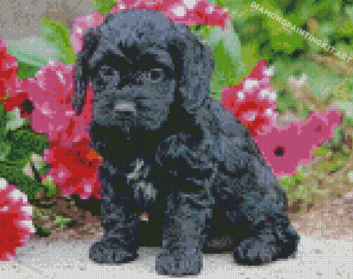 Black Cockapoo And Flowers Diamond Paintings