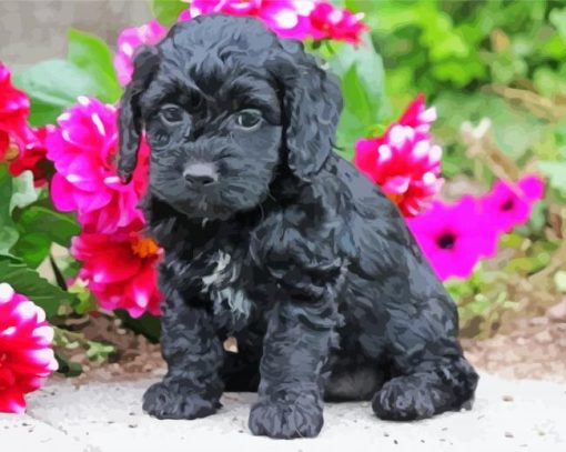 Black Cockapoo And Flowers Diamond Paintings