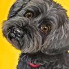 Black Cockapoo Diamond Paintings