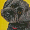 Black Cockapoo Diamond Paintings