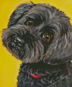 Black Cockapoo Diamond Paintings