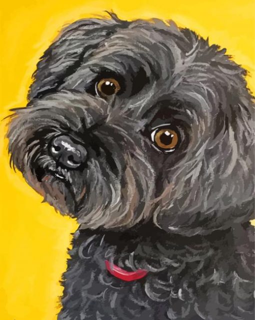 Black Cockapoo Diamond Paintings