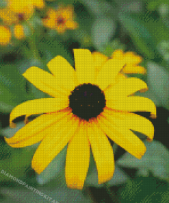 Black Eyed Susan Diamond Paintings