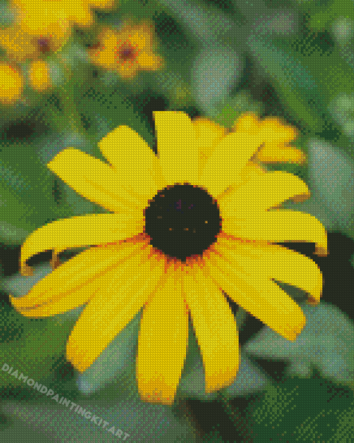 Black Eyed Susan Diamond Paintings