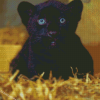 Black Jaguar Diamond Paintings