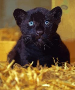 Black Jaguar Diamond Paintings