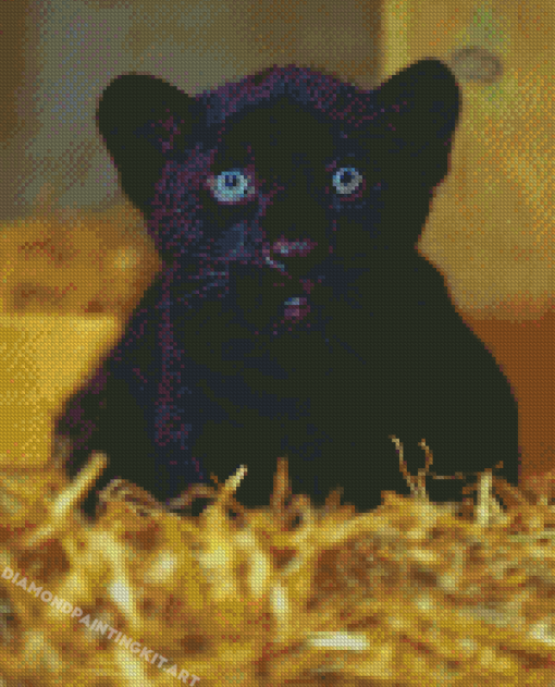 Black Jaguar Diamond Paintings