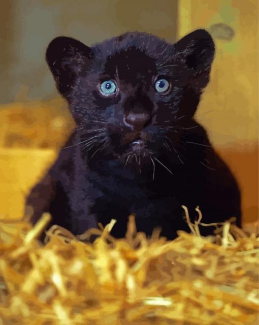 Black Jaguar Diamond Paintings