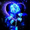 Blue Glowing Rose And Butterflies Diamond Paintings