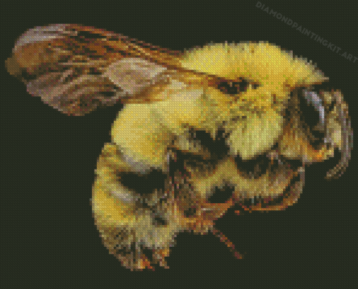 Bumblebee Insect Diamond Paintings