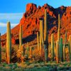 Cactus Near Mountain Diamond Paintings