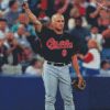 Cal Ripken Jr Diamond Paintings