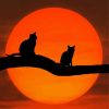 Cats Sitting On Branch Of Tree Silhouette Diamond Paintings