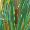 Cattail Plant And Leaves Diamond Paintings