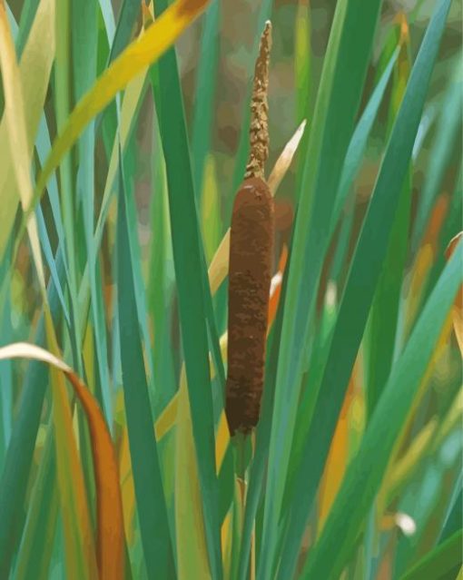 Cattail Plant And Leaves Diamond Paintings