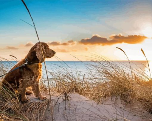 Cute Dog At Norfolk Beach Diamond Paintings