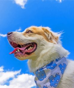 Cute Great Pyrenees Diamond Paintings