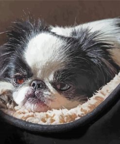 Cute Japanese Chin Diamond Paintings