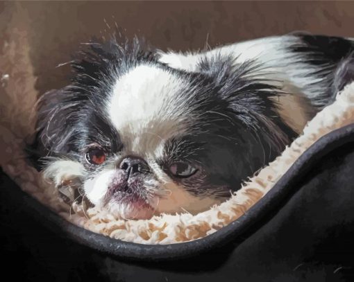 Cute Japanese Chin Diamond Paintings