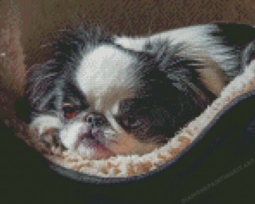 Cute Japanese Chin Diamond Paintings