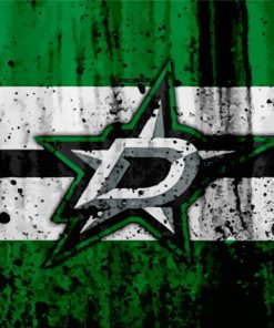 Dallas Stars Logo Diamond Paintings