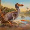 Dodo Bird Diamond Paintings