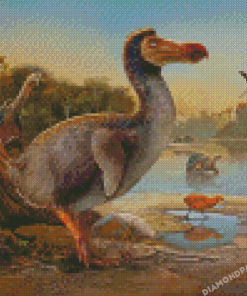 Dodo Bird Diamond Paintings