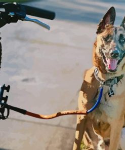 Dog With Bicycle Diamond Paintings