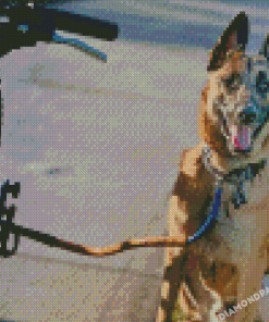 Dog With Bicycle Diamond Paintings