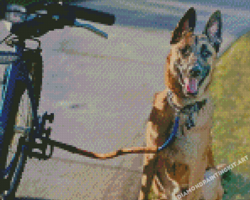 Dog With Bicycle Diamond Paintings