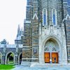 Duke University Diamond Paintings