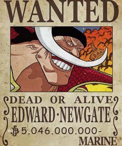 Edward Newgate One Piece Wanted Diamond Paintings