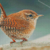 English Wren Diamond Paintings