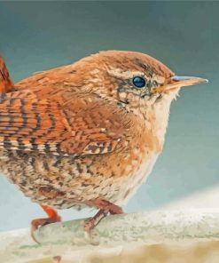 English Wren Diamond Paintings