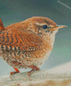 English Wren Diamond Paintings