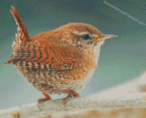 English Wren Diamond Paintings