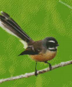 Fantail Bird Diamond Paintings