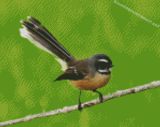 Fantail Bird Diamond Paintings