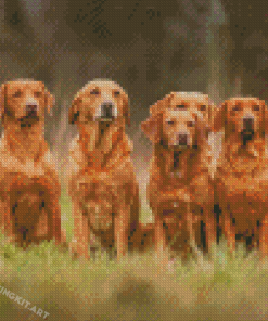 Fox Red Labs Diamond Paintings