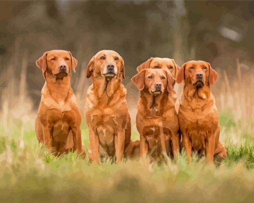 Fox Red Labs Diamond Paintings