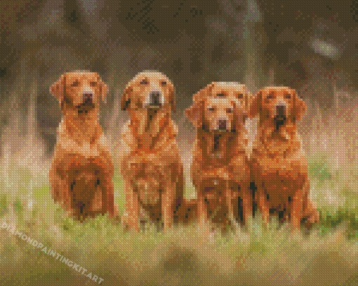 Fox Red Labs Diamond Paintings