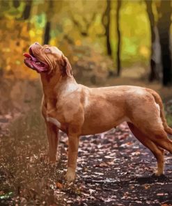 French Mastiff Diamond Paintings